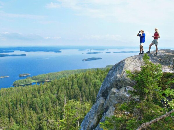 Two people standing on a rocky outcrop overlooking a forested area and a body of water.