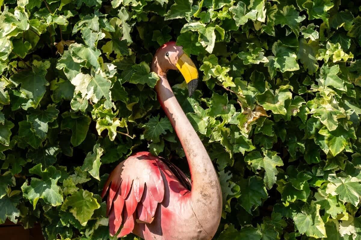 Un oiseau à la tête rouge et au bec jaune, perché au milieu d’un feuillage verdoyant.