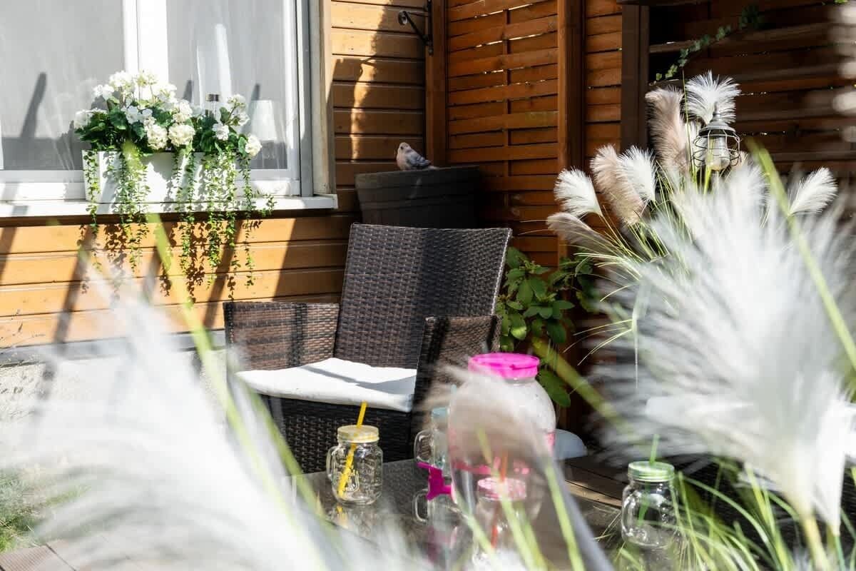Terraza o patio