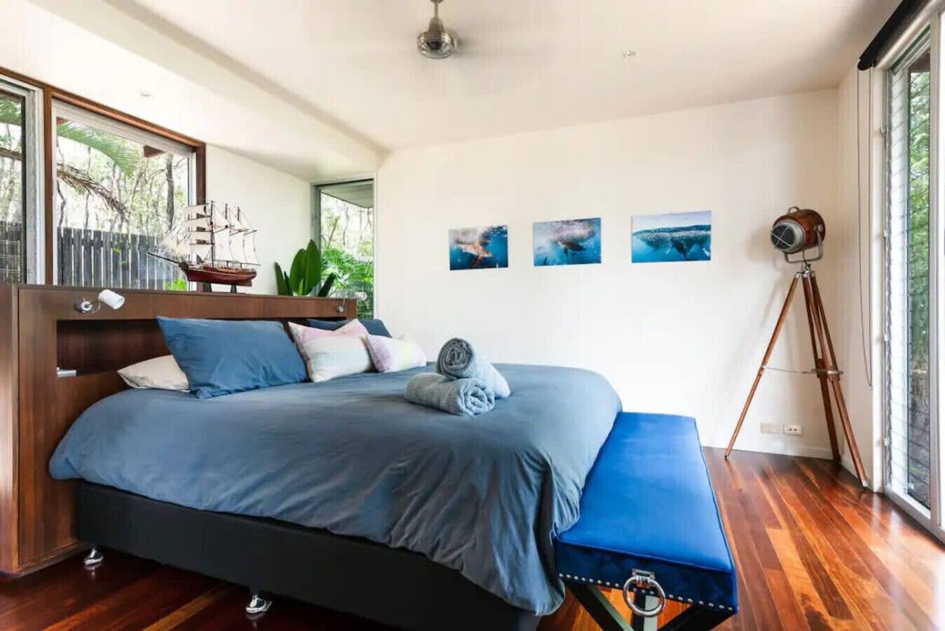 A modern bedroom with a large bed, a tripod, and a view of the outdoors.