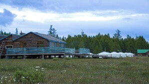 A rustic wooden cabin with a porch and a ladder, surrounded by a field with wildflowers and a forest in the background. - Nature Door Resort. Khuvsgul province. (Alag-Erdene)