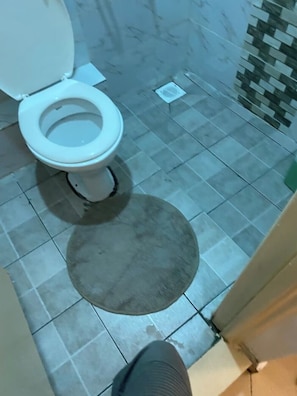 Shower, towels, soap, toilet paper