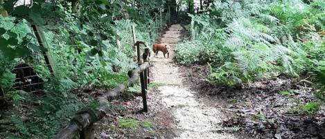 المنطقة المحيطة بالمنشأة