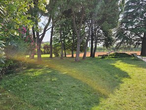 Overnatningsstedets område