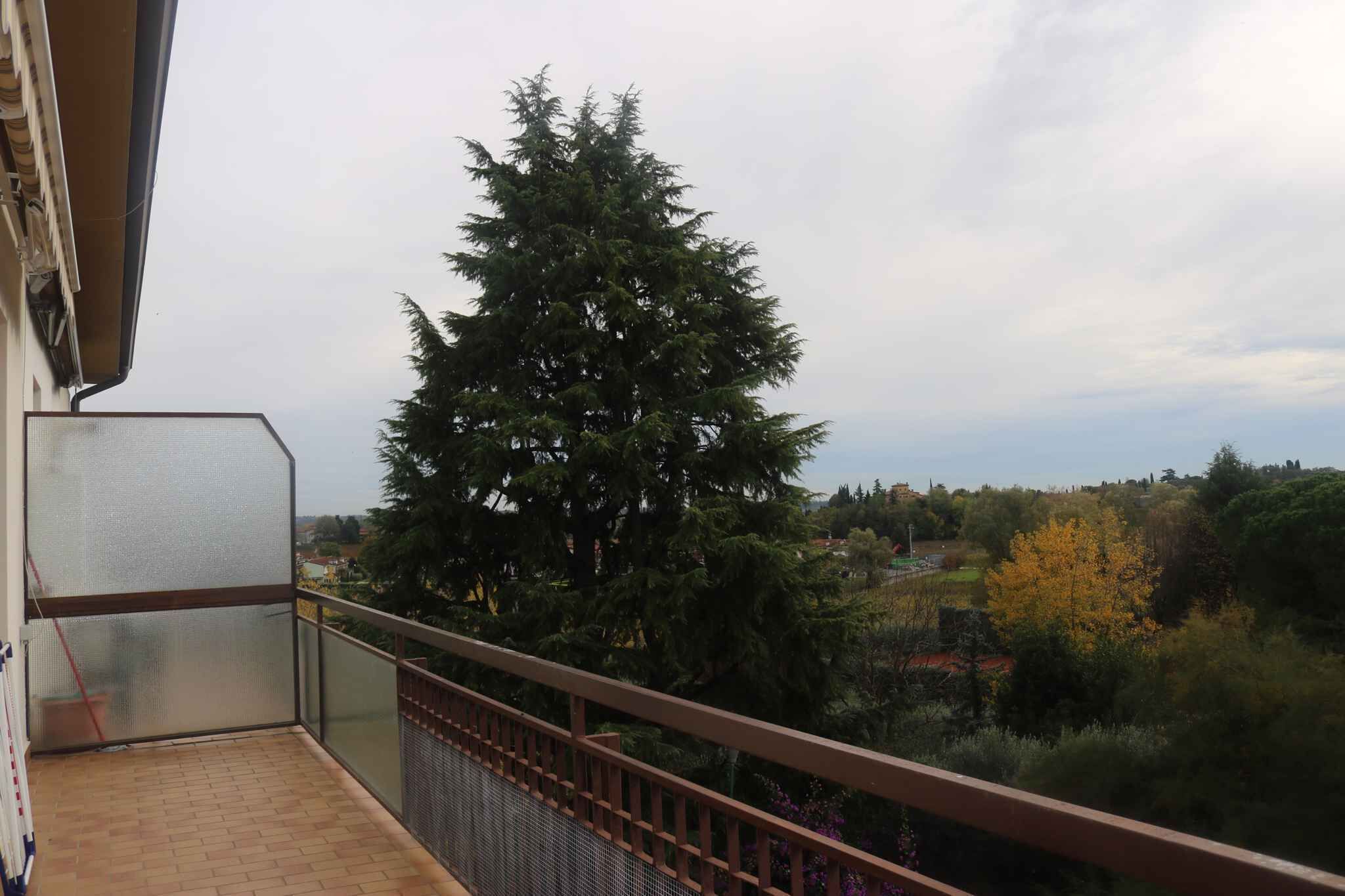 Un balcó amb vistes a un gran arbre de fulles perennes i un paisatge llunyà.