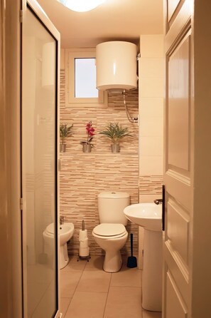 Shower, hair dryer, bidet, towels
