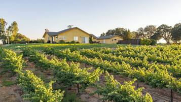 Overnatningsstedets område