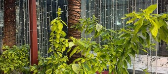 Istanblu Hotel Atasehir