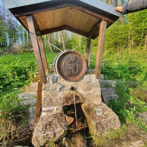 Terrain de l’hébergement 