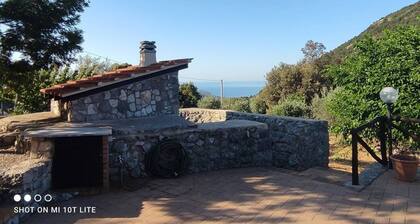 Panoramic hillside house with sea view