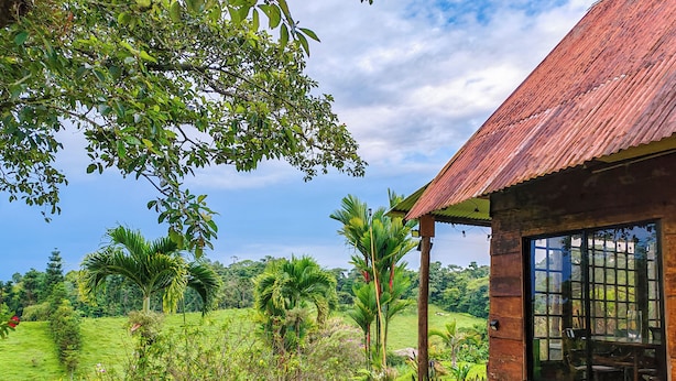 Una casa de madera rústica con un amplio ventanal, rodeada de exuberante vegetación y un cielo despejado.