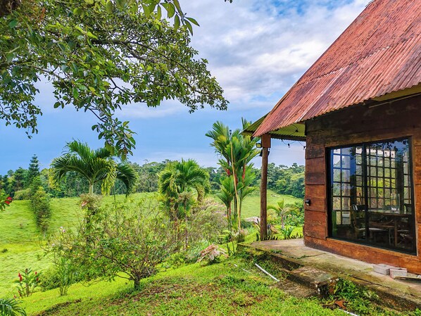 Property grounds - Las Cañas Paradise (Guácimo)