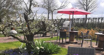 Luxe chalet op minicamping in Waarde met sauna