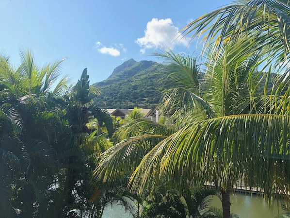Apartment, 2 Bedrooms, Balcony, Mountain View | Property grounds