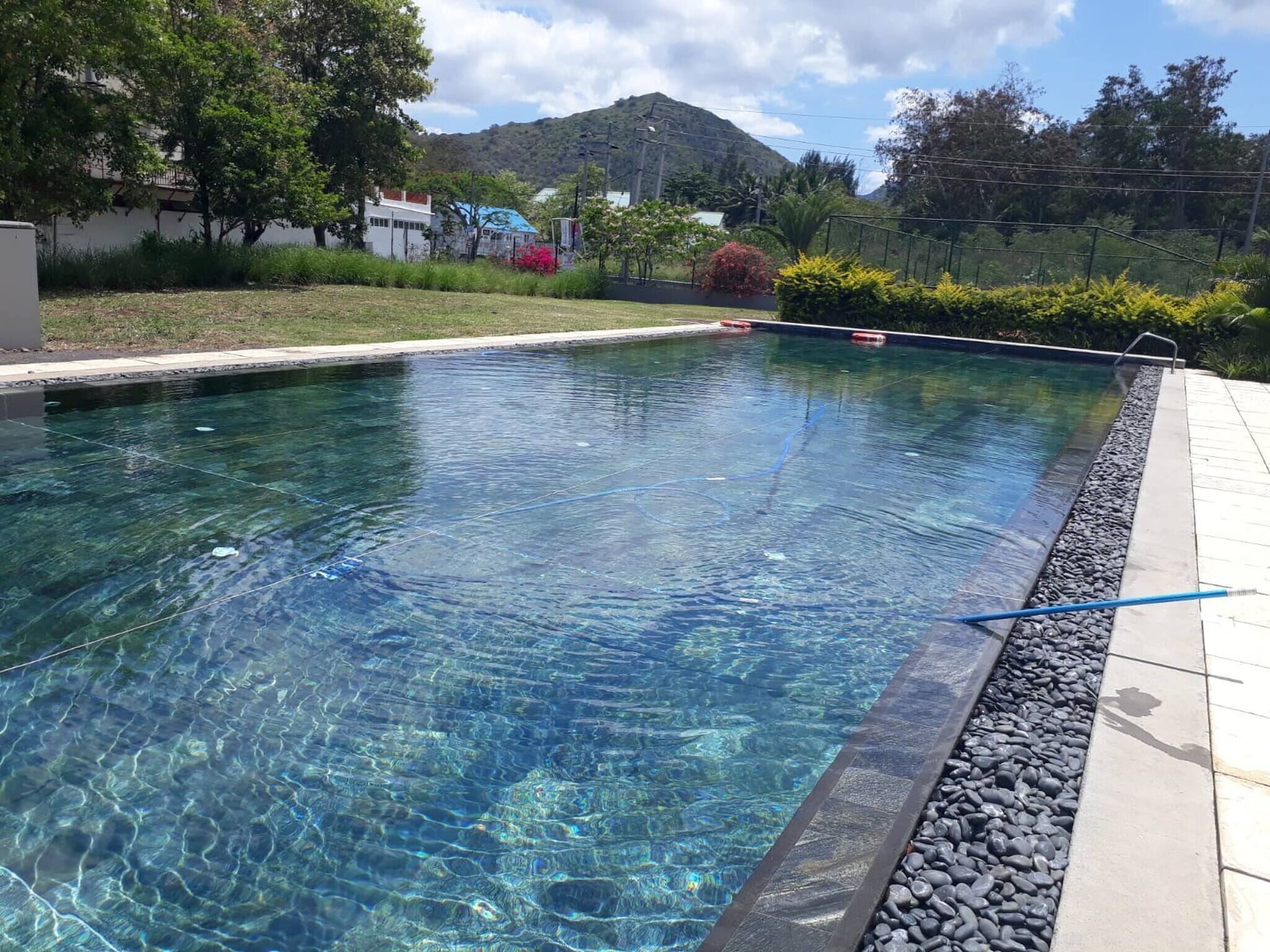 A clear swimming pool with a tiled edge, surrounded by a landscaped garden and a mountain in the background.