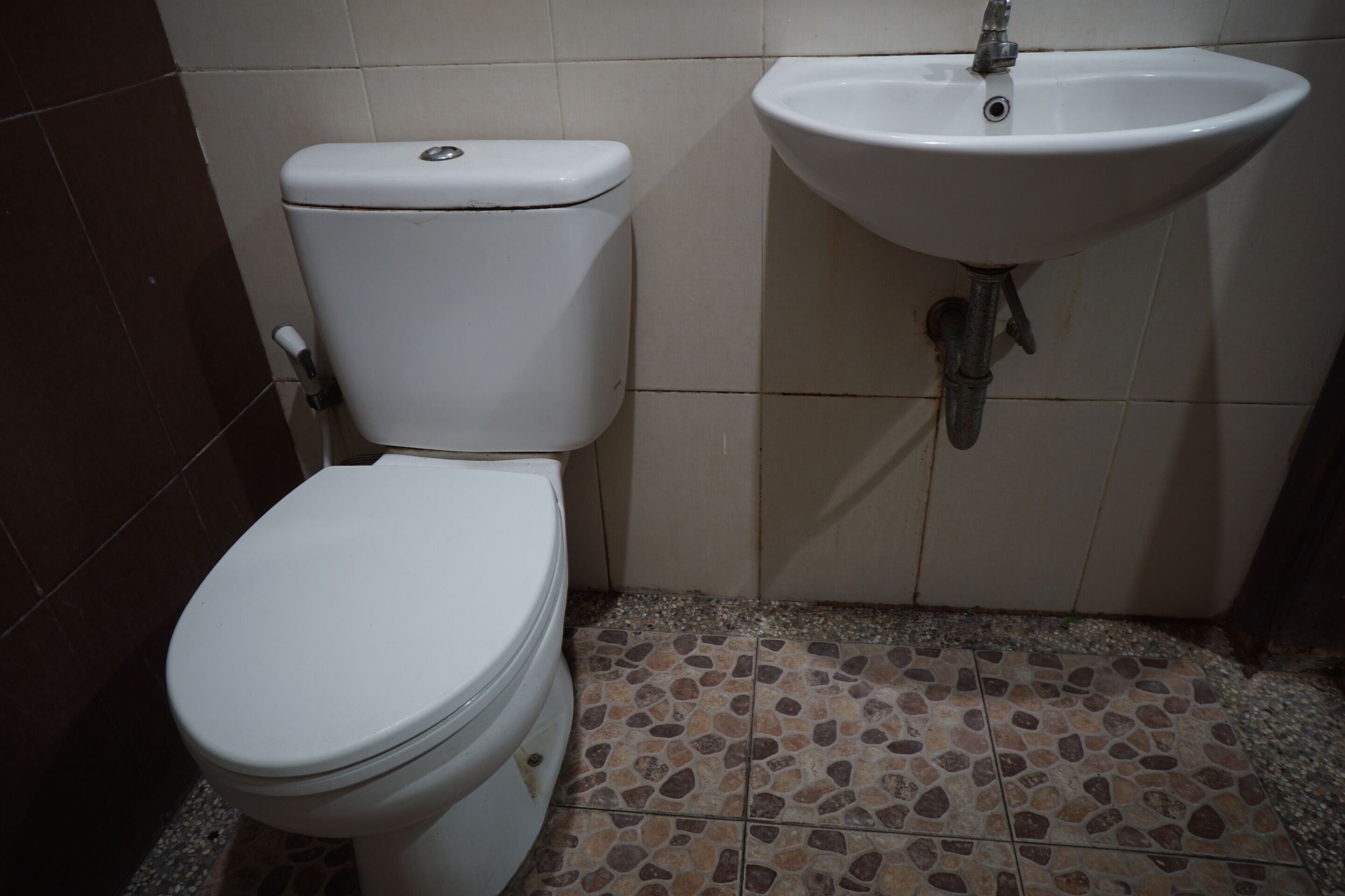 A bathroom with a toilet and a sink.