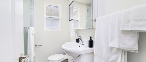 Shower, hair dryer, towels, soap