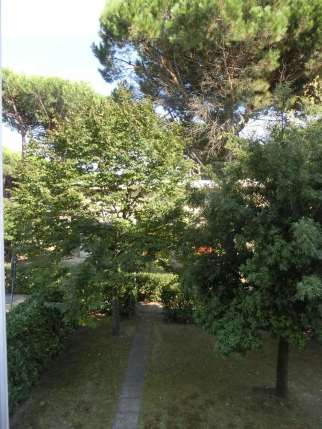 Un jardin avec un chemin dallé, une végétation luxuriante et des arbres.