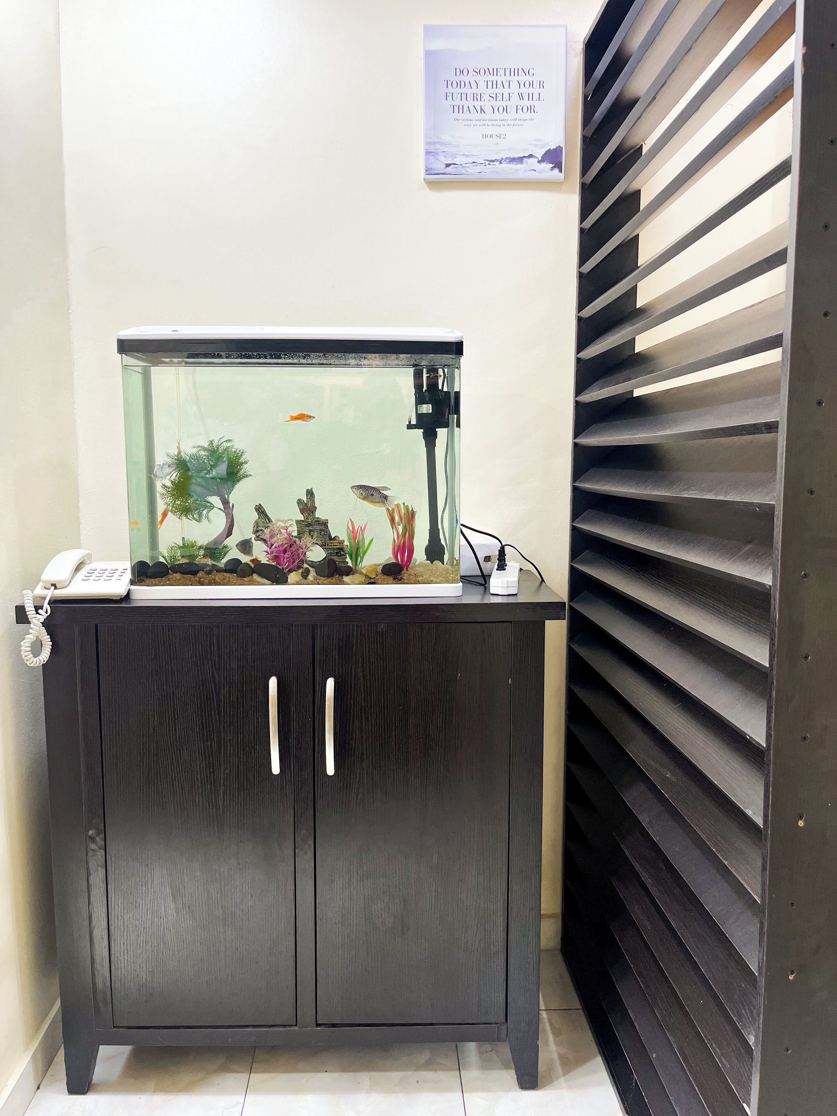 A fish tank on a dark wooden cabinet with a phone and a small statue on top.