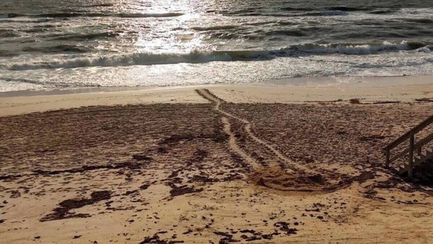 Ein Strand mit einem sandigen Pfad, der zum Wasser führt, einer Holzkonstruktion und einem bewölkten Himmel.