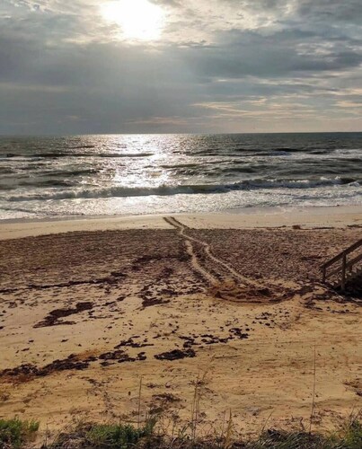 The Driftwood Hideaway - Daytona Beach, FL - Minutes from the Beach & More!!