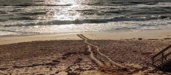 The Driftwood Hideaway - Daytona Beach, FL - Minutes from the Beach & More!!