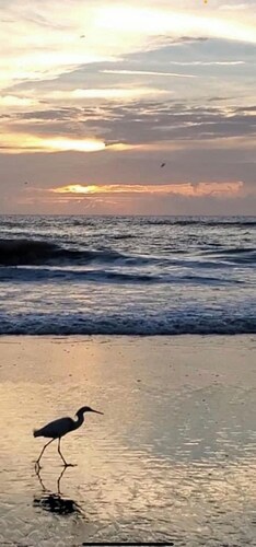 The Driftwood Hideaway - Daytona Beach, FL - Minutes from the Beach & More!!