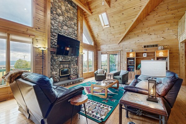 TV, fireplace, books