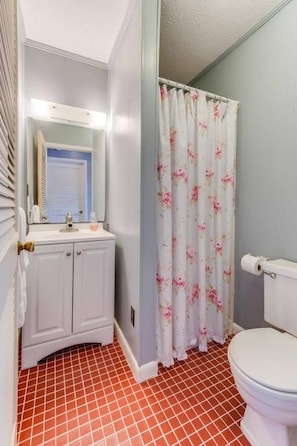 Apartment, 3 Bedrooms, Terrace, Garden View | Bathroom - 90 Seconds To Cloudland Canyon Park - Lookout Mt Num90 (Rising Fawn)
