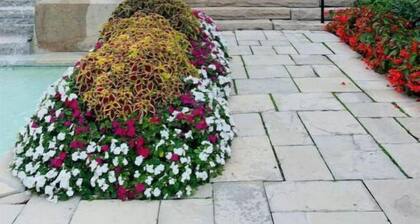 La Place Art Stay 1 King kitchenette LR F Bath