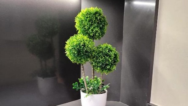 Esquina de una habitación con un felpudo gris, una maceta blanca con un árbol pequeño y una pared metálica.