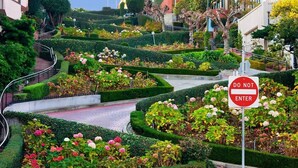 A landscaped garden with a 'DO NOT ENTER' sign, featuring well-manicured hedges and flowering plants. - Soma House (San Francisco)