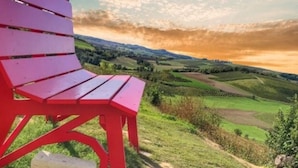 Uklassifisert bilde, 3 av 29, knapp