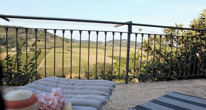 Room in Guest Room - La Culla Tra I Vigneti - Stanza