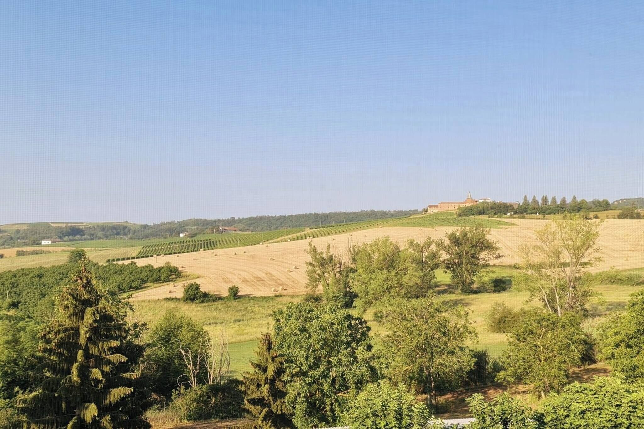 Esterni