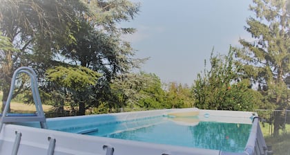 Nido Tra Le Stelle E Il Blu