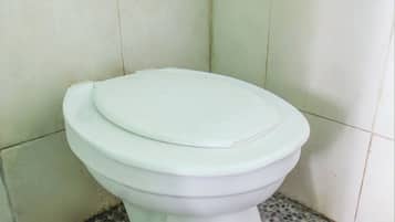 Habitación doble Deluxe | Baño | Regadera, toallas, jabón, shampoo