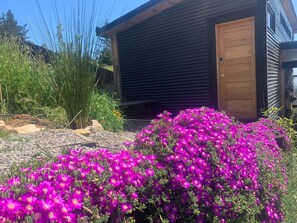 Front of property - Cabañas La Ola Puertecillo (Navidad)