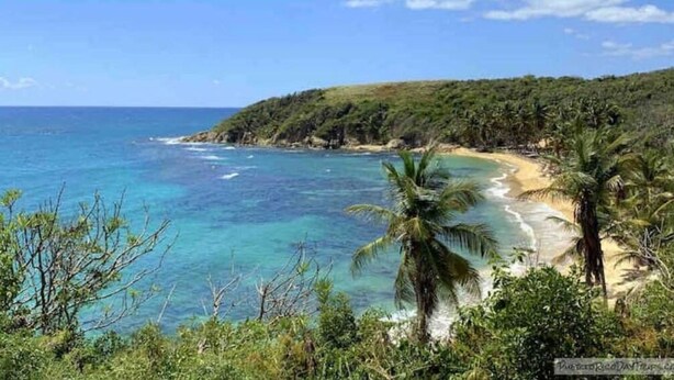 Un paisaje costero con una playa, palmeras y una vista despejada del océano.