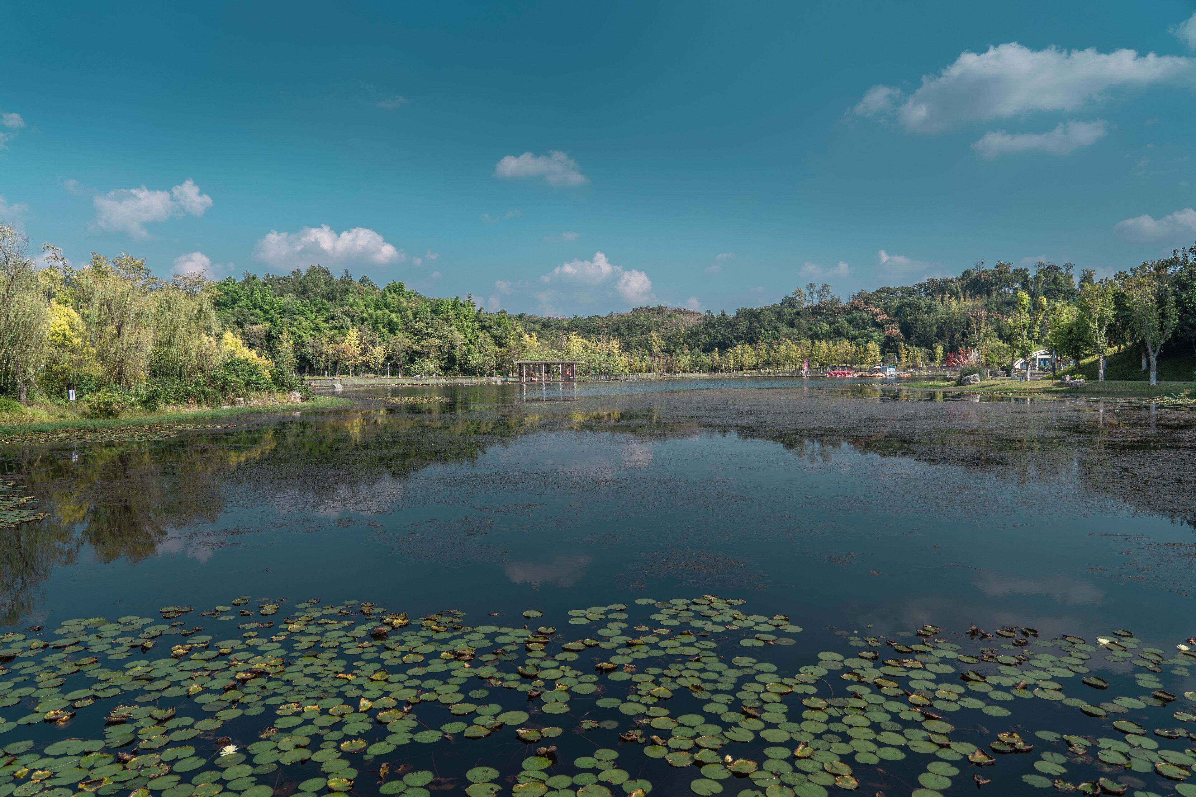 Foto - Holiday Inn Chengdu East by IHG