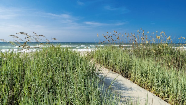 A pathway leading to a beach with tall grasses and a clear blue sky. - Oceanfront Updated 5BR Duplex. Dog friendly! (Emerald Isle)