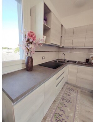 Apartment, 1 Schlafzimmer, Balkon, Stadtblick | Eigene Küche