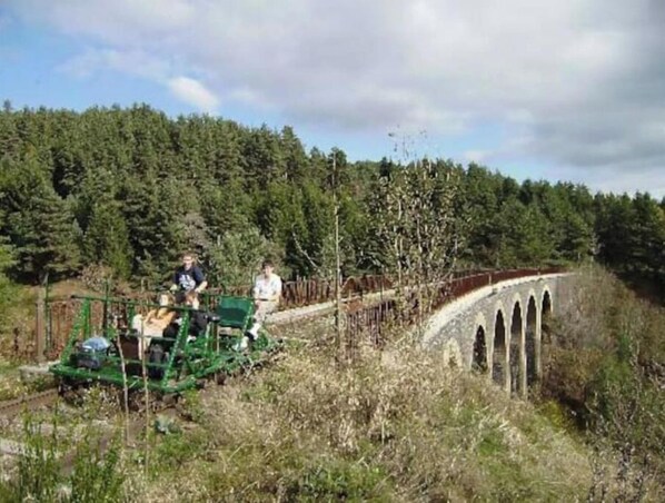 A green train on a track with a forested hillside in the background.