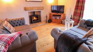 Una sala de estar acogedora con chimenea, sofás cómodos, un televisor y una mesita con vasos y una botella.