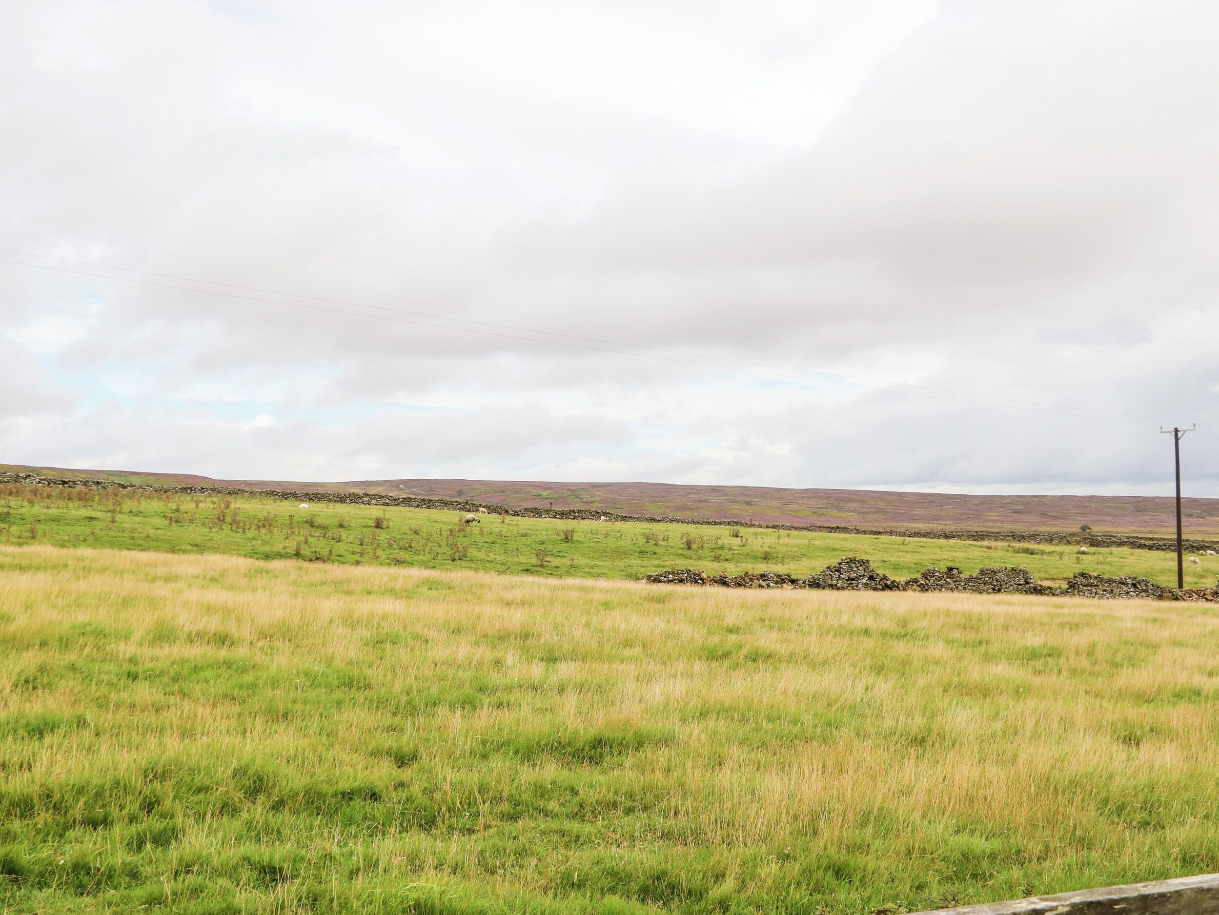 A rural landscape with green fields, stone walls, and a cloudy sky.