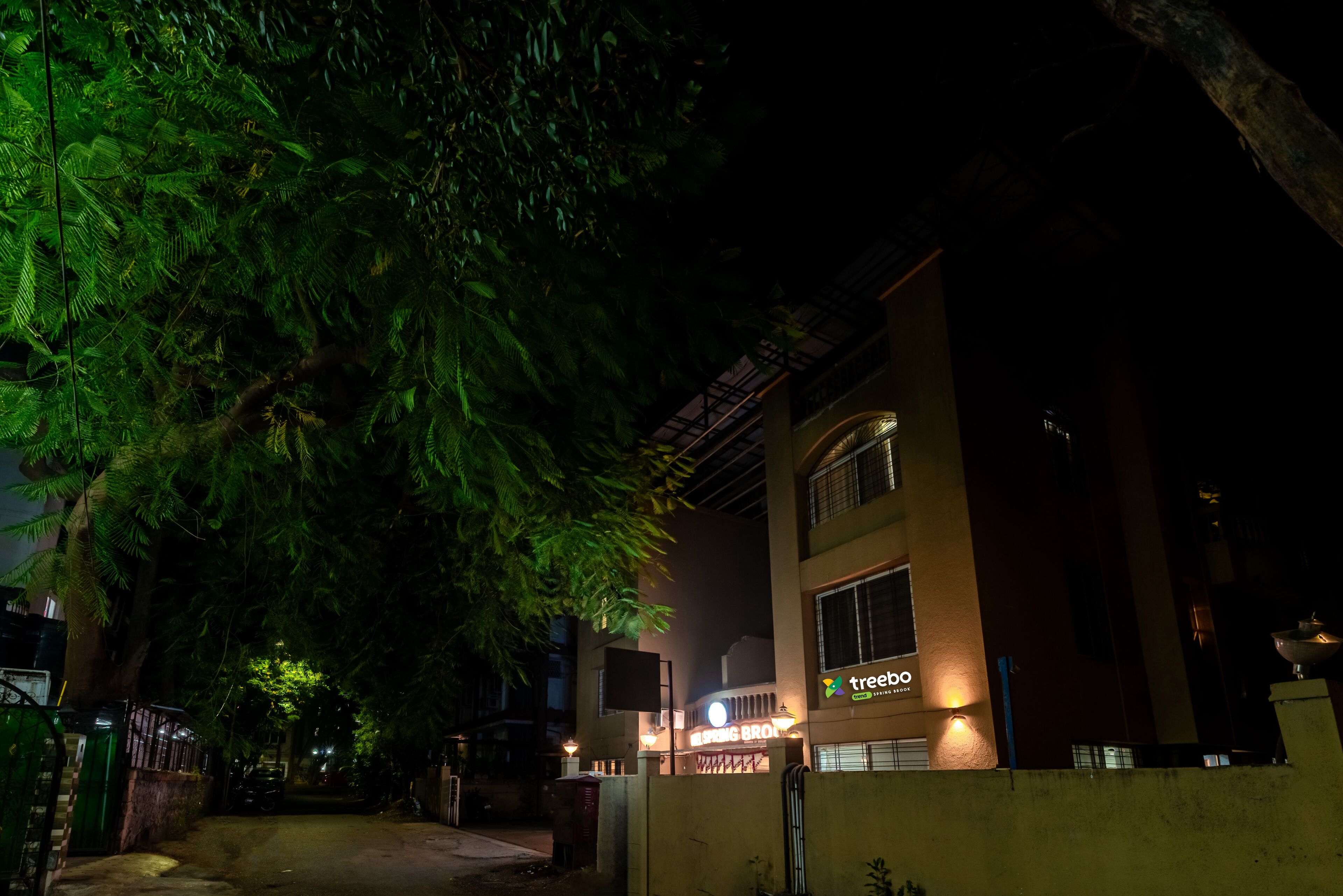 A building with a sign reading "treeboo" and "Living Room" at night.