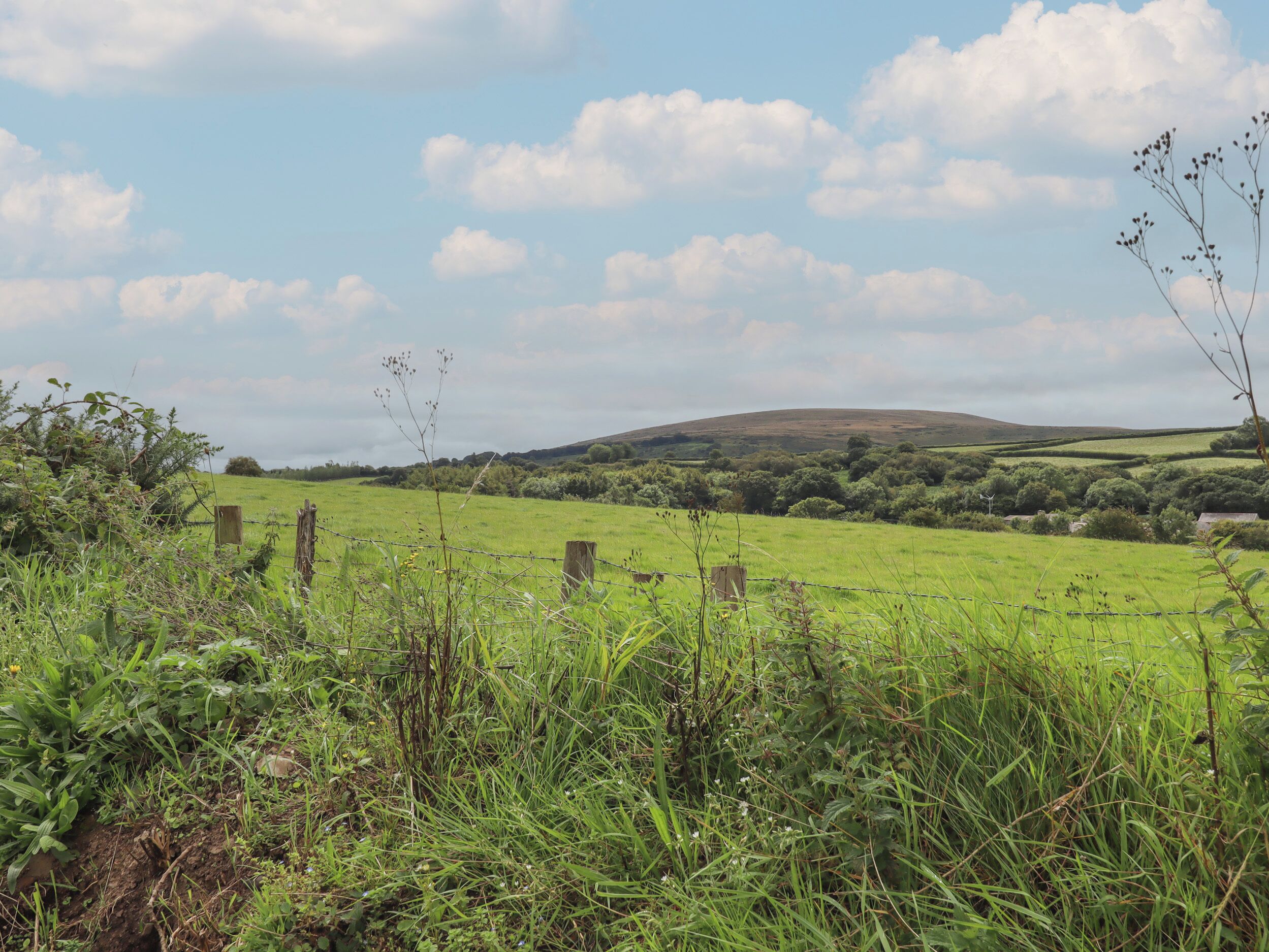 A rural landscape with a grassy field, a wooden fence, and a hill in the background.