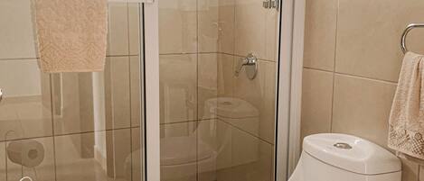 Un baño con ducha de vidrio, inodoro y bidé.