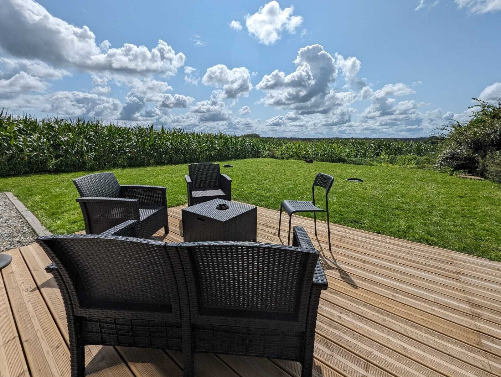 テラス / パティオ