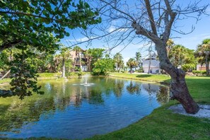 Property grounds - The Ocean View at Sandy Cove (Siesta Key)